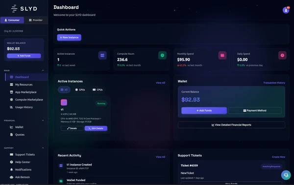 SLYD Dashboard showing real-time resource monitoring, usage analytics, and cost management tools